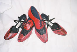 Heavenly Dance Shose